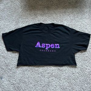 Brandy Melville Aspen Colorado Crop Top